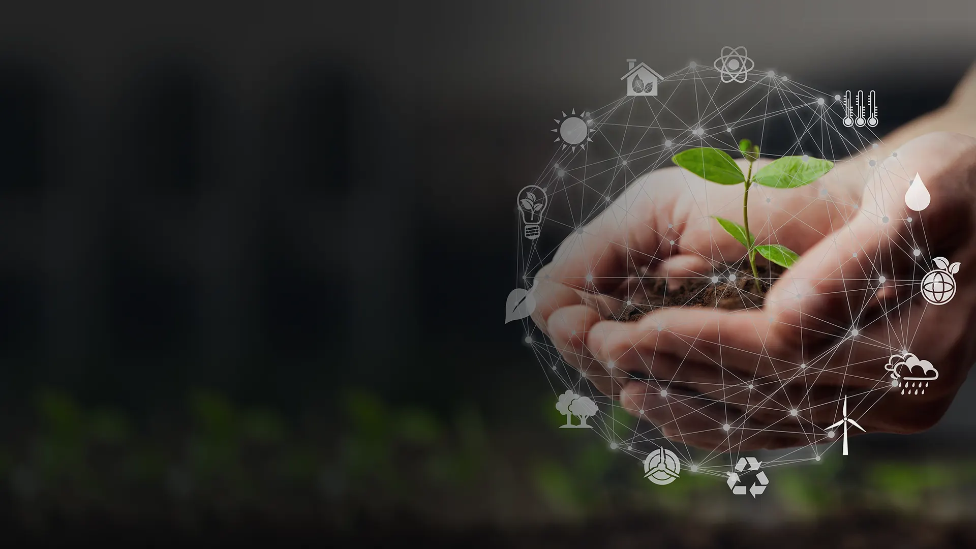 Le bio, bien plus qu'une simple tendance